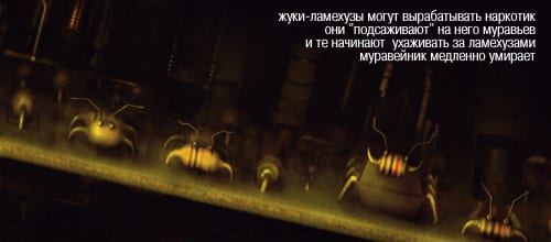 Philosophy 121